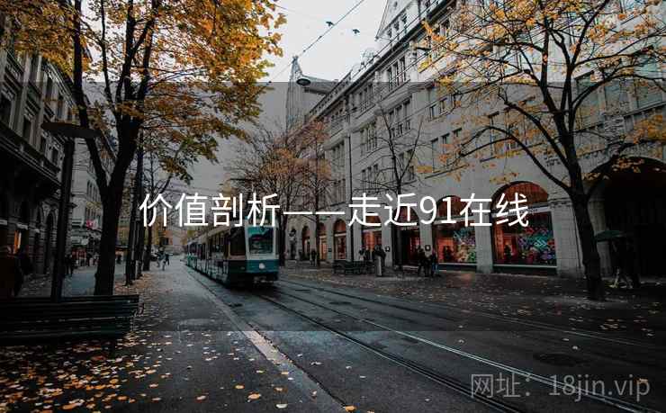 价值剖析——走近91在线