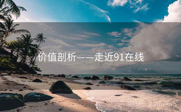价值剖析——走近91在线