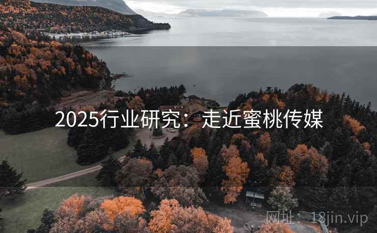 2025行业研究：走近蜜桃传媒