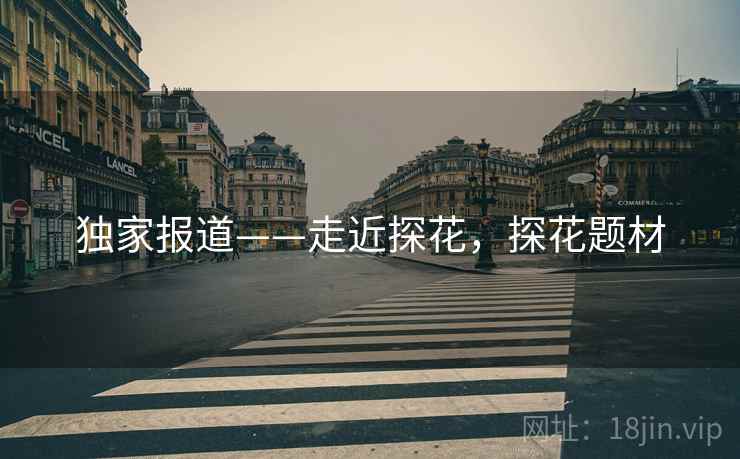 独家报道——走近探花，探花题材