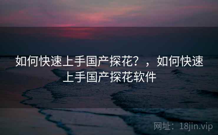 如何快速上手国产探花？，如何快速上手国产探花软件