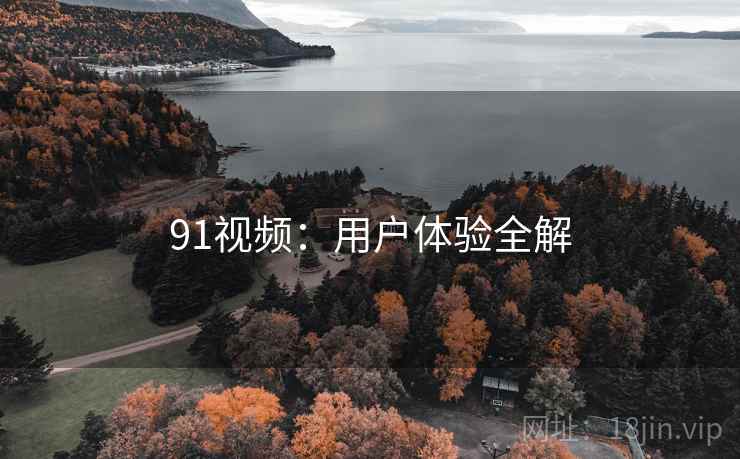 91视频：用户体验全解