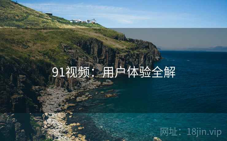 91视频：用户体验全解