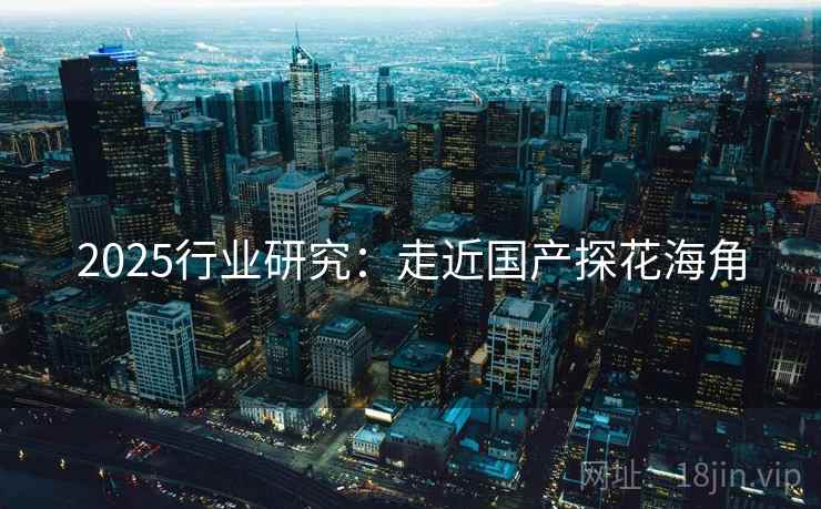 2025行业研究：走近国产探花海角