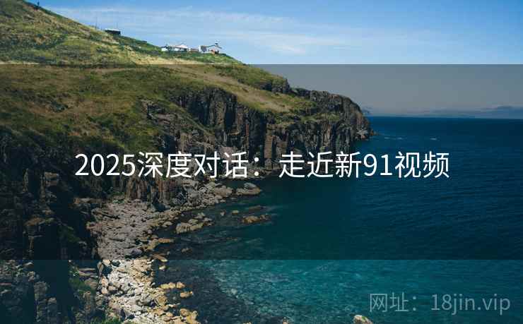 2025深度对话：走近新91视频