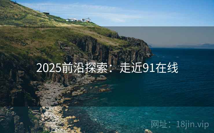 2025前沿探索：走近91在线