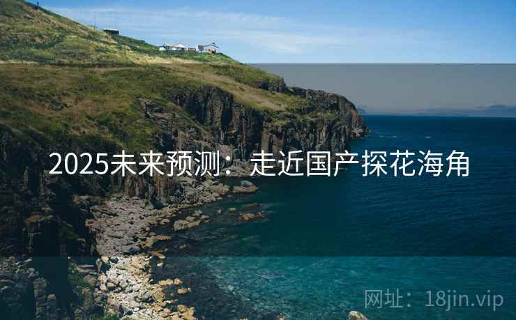 2025未来预测：走近国产探花海角