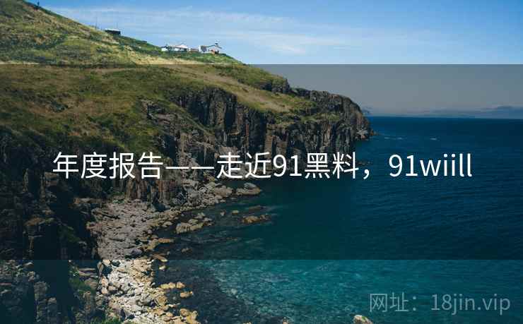 年度报告——走近91黑料，91wiill