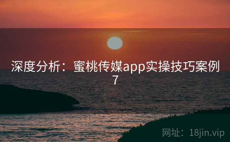深度分析：蜜桃传媒app实操技巧案例7