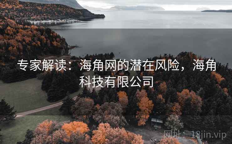 专家解读：海角网的潜在风险，海角科技有限公司