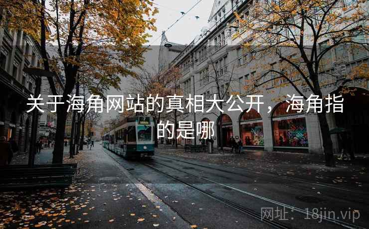 关于海角网站的真相大公开，海角指的是哪